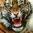 LindaSeitz13's profile image