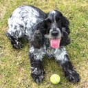 katie ramsden - @Katie_lr - Twitter