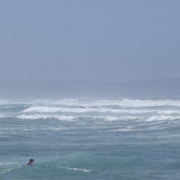 frutochileno's profile picture. 