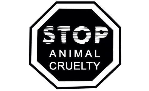 Here to support animal rights and help prevent animal cruelty.