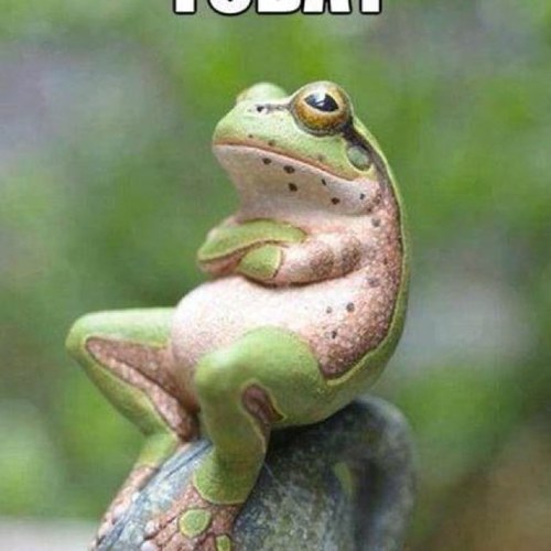 JVanderNoor's profile picture. 