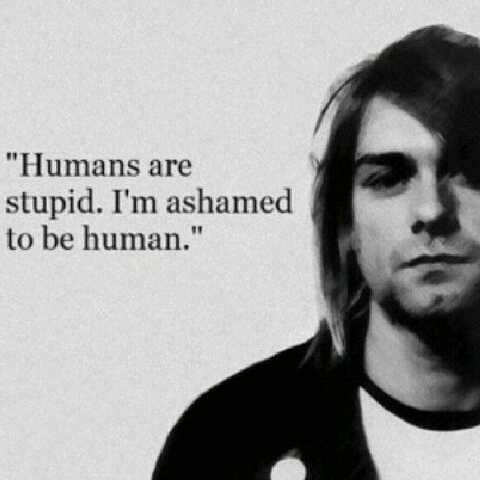 Here for anyone and everyone. Music is life.
