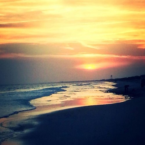 jdcj28304's profile picture. 