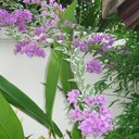 Jane baber - @baberjl - Twitter