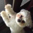 Lori Babb - @PurpleGlitta24 - Twitter