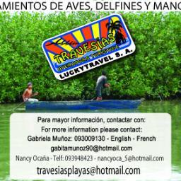 Travesías Operadora Turística- Nuestros servicios: Avistamiento de aves, delfines y manglar .
Quito,Guayaquil, Cuenca y Riobamba. Visitas Culturales.