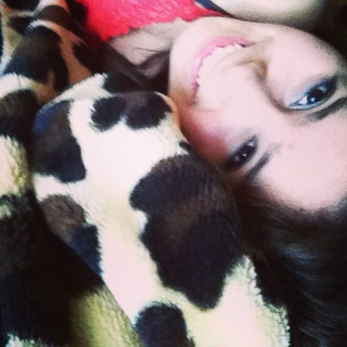 AllyLavallee's profile picture. 