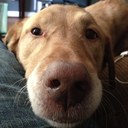 aaron p slattery - @AaronSlattery - Twitter