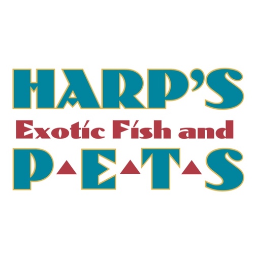 Family-owned and operated pet store specializing in puppies, kittens, birds, tropical freshwater fish, reptiles, small animals, supplies, and more since 1973.