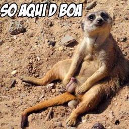 vamo zua tudo essa porra
