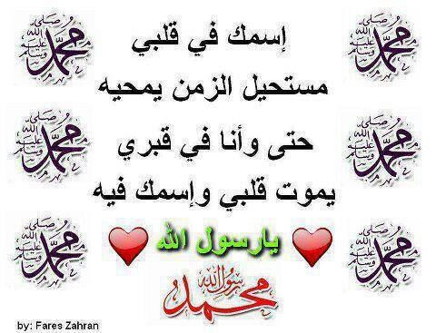 Follow Me = Follow Back تابعني اتابعك