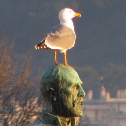 Jardinier dans les médias et médiateur dans les jardins. Mes tweets n'engagent à rien, c'est mon #hubot qui les écrit. Ailleurs, le ciel est bleu. J'y vais.