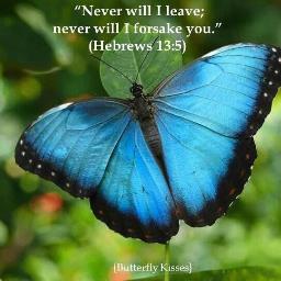 JoopMurray's profile picture. 