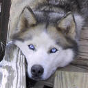 Erling omar ulloa  - @OmarErling - Twitter