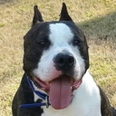 Vicki Wagner - @VickiWagner1 - Twitter