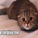 Dexter Wilcox - @DexWilcox - Twitter