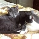 Beverly Baxter - @BeverlyDisvac - Twitter