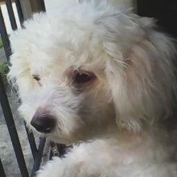 kotuffff Profile Picture
