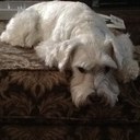 Terri Gilpin - @MusicandArtMom - Twitter