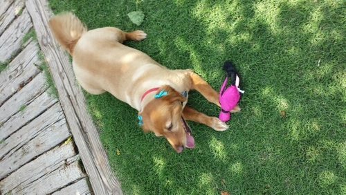 zrogers1027's profile picture. Fun is more fun than no fun