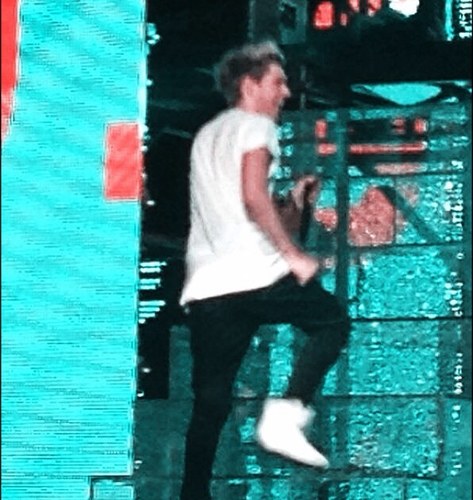 FauxHoran's profile picture. Hazza Hazza Hazza Hazza Hazza Hazza Hazza Hazza Hazza Hazza Hazza Hazza. |6.16.13|7.11.13|