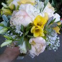 carey lynn howe - @carey1howe - Twitter