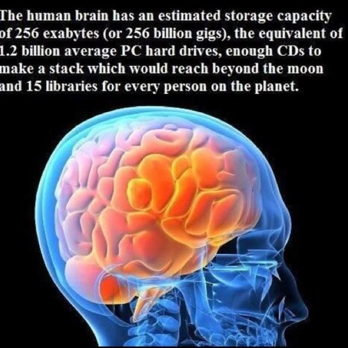 Abraham33333's profile picture. 