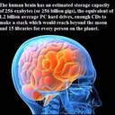 Isaac Jacob - @Abraham33333 - Twitter