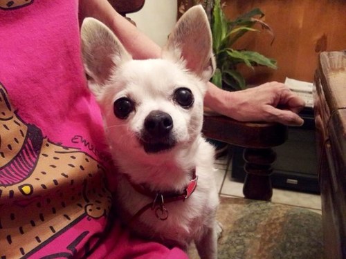 VNitcher's profile picture. 