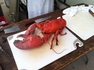 larrydubin24's profile picture. 