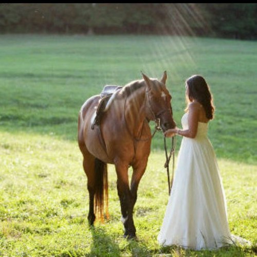 alanood110011's profile picture. 