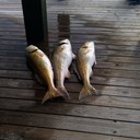 Evan McElroy - @M589Y - Twitter