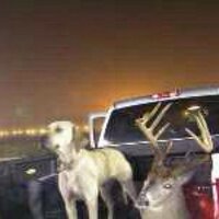 Brad Stuart (@bstuart191) 's Twitter Profile Photo