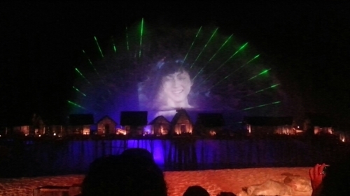 bzzrdz's profile picture. 