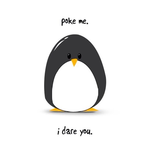 dtknip's profile picture. 