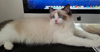 Leitich10's profile picture. Luck is what happens when preparation meets opportunity. - Seneca -