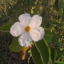 julie smith - @JkSmith97 - Twitter