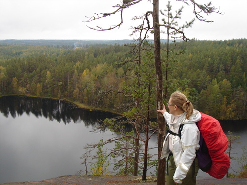 ARauha's profile picture. 