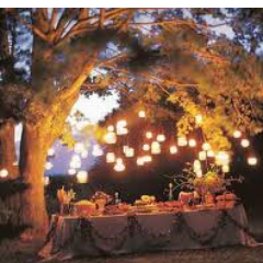 RobsonEvents's profile picture. Robson Events delivers specialised events with that WOW factor