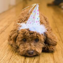 Bad_Tank's profile picture. “人”，自由主义者，WP。恋爱就是男女关系男男化或女女化。