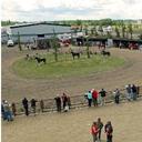 Alberta Downs - @Alberta_Downs - Twitter