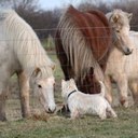 Gert Wolf - @GertGgw - Twitter