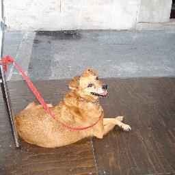 mauri1697's profile picture. pubblicità esterna