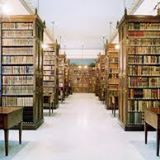 Come la cultura cambiò il mondo
