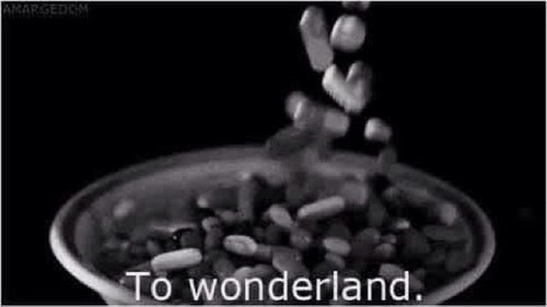 It doesn't matter how many times you call me beautiful, I will always look in the mirror and see a worthless, piece of shit..