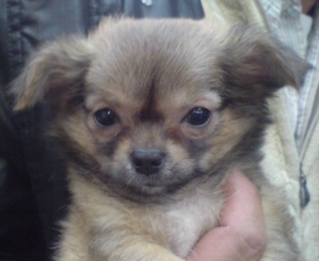 mai_nature's profile picture. 農業っておもしろいですよ。きついですけどねw
犬大好きです。