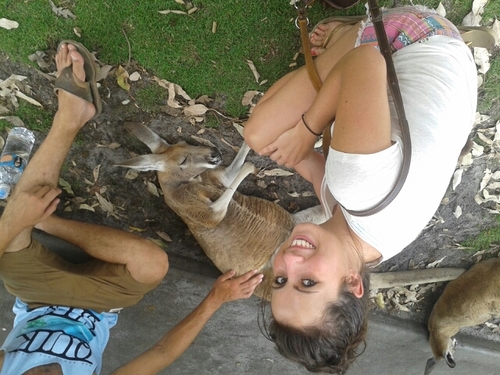 Lk1ngy's profile picture. 