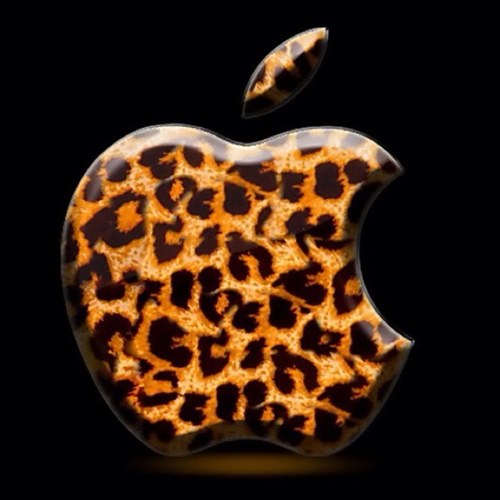 DuffNOAH's profile picture. 