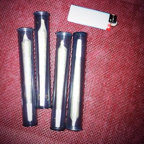 W0AHBitchSwerve's profile picture. Terro Mitch 4rm the D✈Memphis✈Bowling Green #TeamRasta✌#TeamTransman