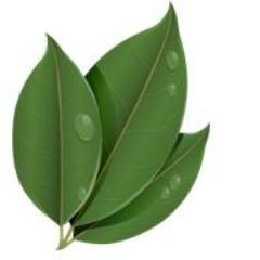 EcoDoorSystems's profile picture. Manufacturers of sustainable timber doors